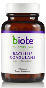 Bacillus-310x596-1 Bacillus-310x596-1